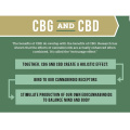 Organic Hemp extract THC free Entourage Blends CBG oil + CBD oil